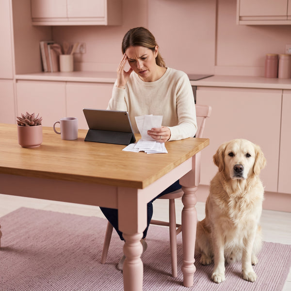 A person looking frustrated at financial documents at a table with their dog nearby, representing the cost of pet grooming.